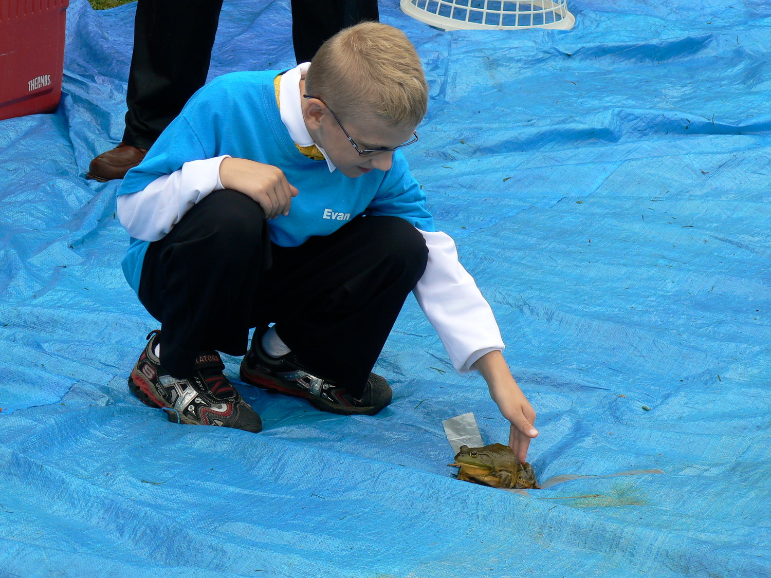 The frog-jumping competition is one of the most popular events at the Walden Harvest Festival.